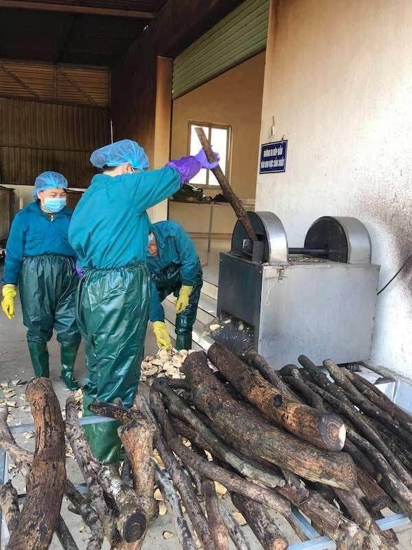 Cao gắm mềm 100gram- HTX Nông dược Yên Bái