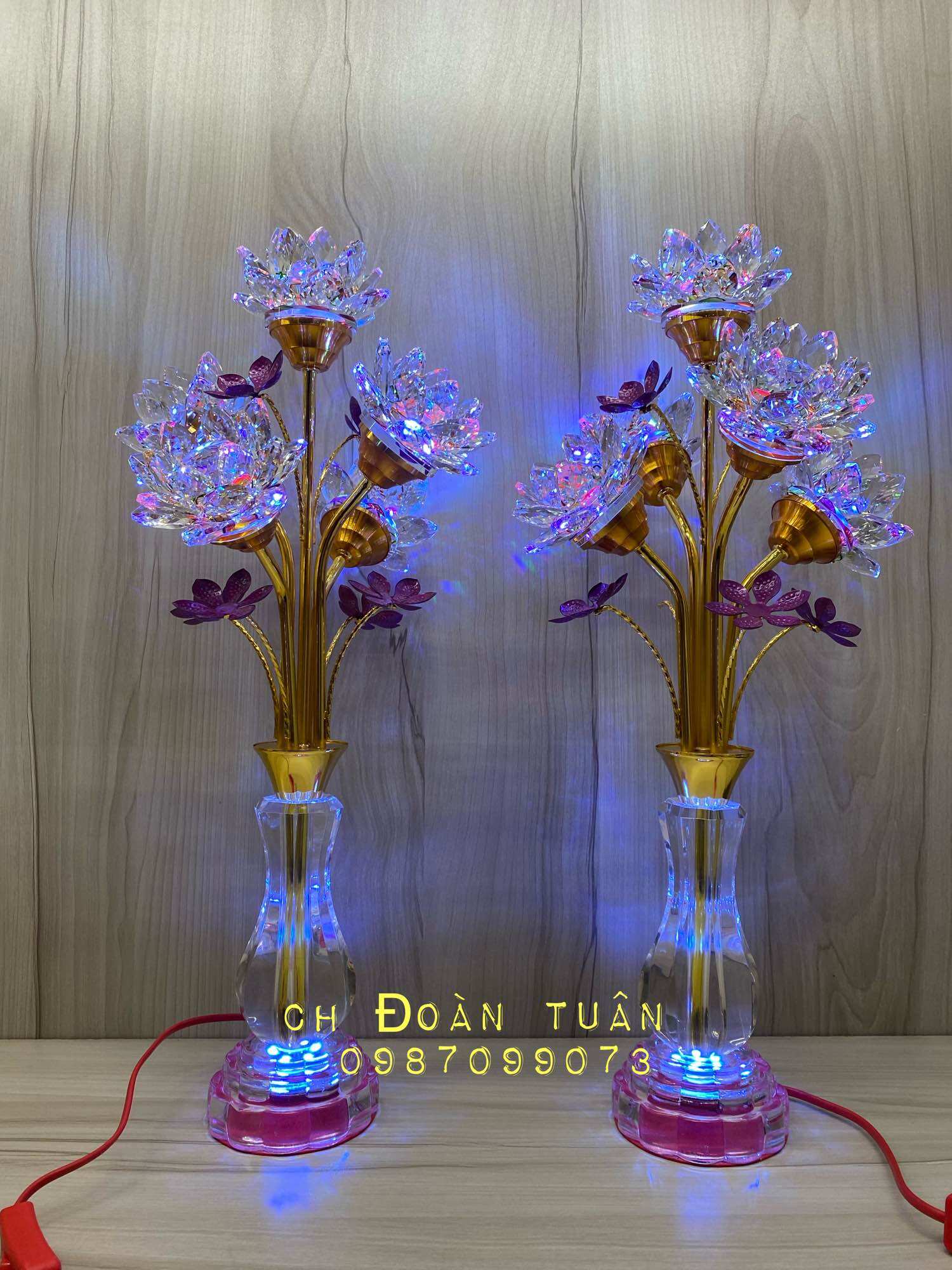 Cặp đèn bình bông pha lê đúc nguyên khối-chậu pha Lê 66-Đèn 5 bông-cao52cm