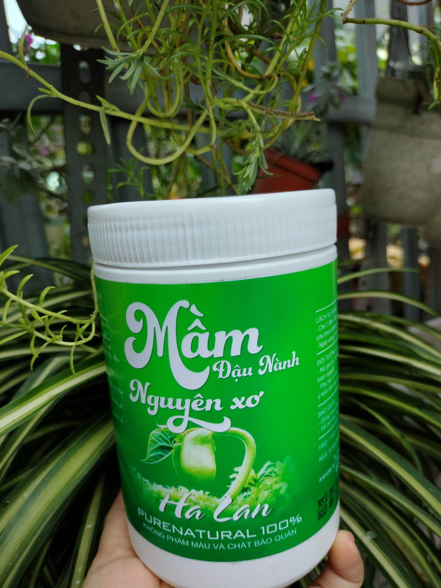 Mầm đậu nành dạng bột