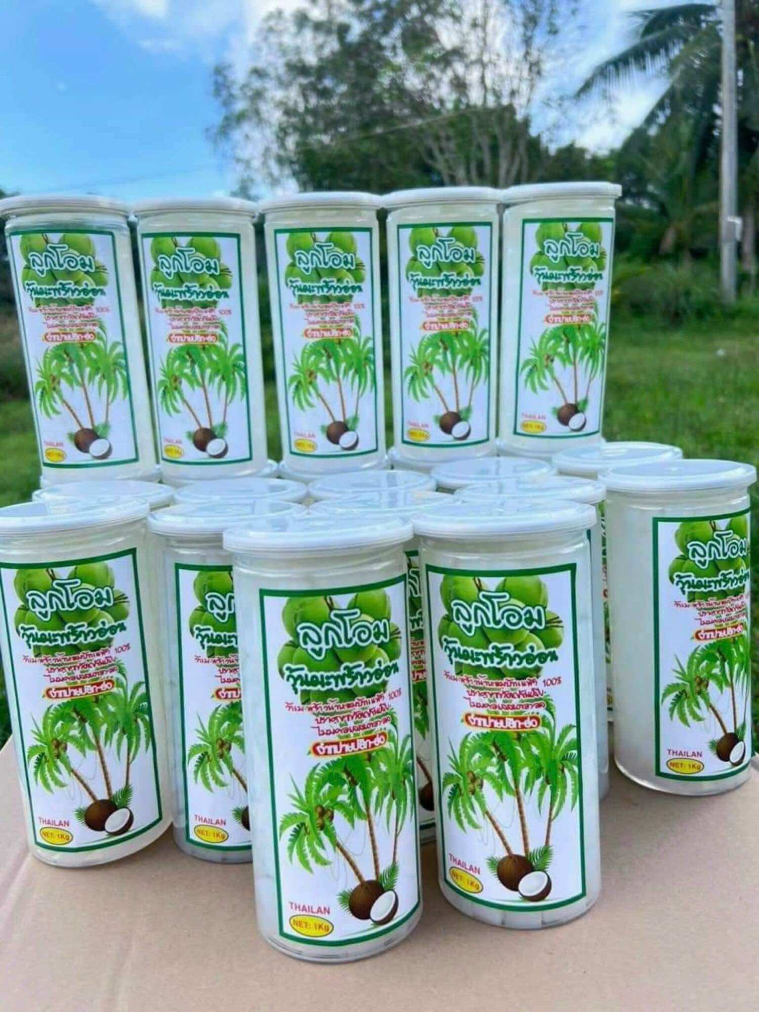 Thạch Dừa Thái Lan Hủ Siêu To ( 900 Gram ) 🌸
