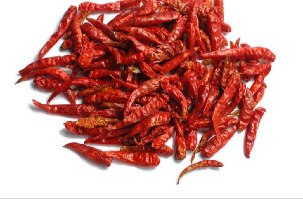 Ớt trái khô_ dried chilly