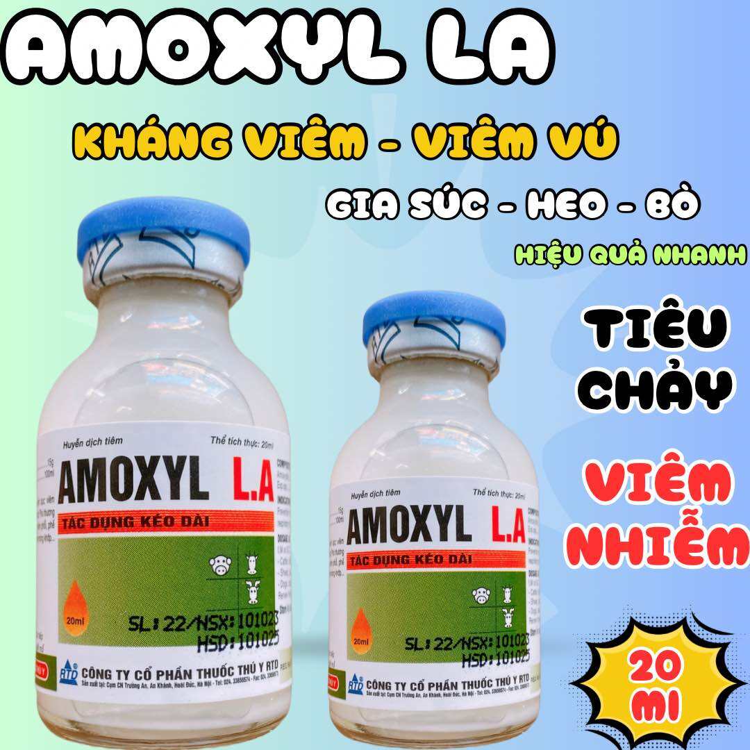 Amox La viêm vú, viêm tử cung trên heo, trâu, bò