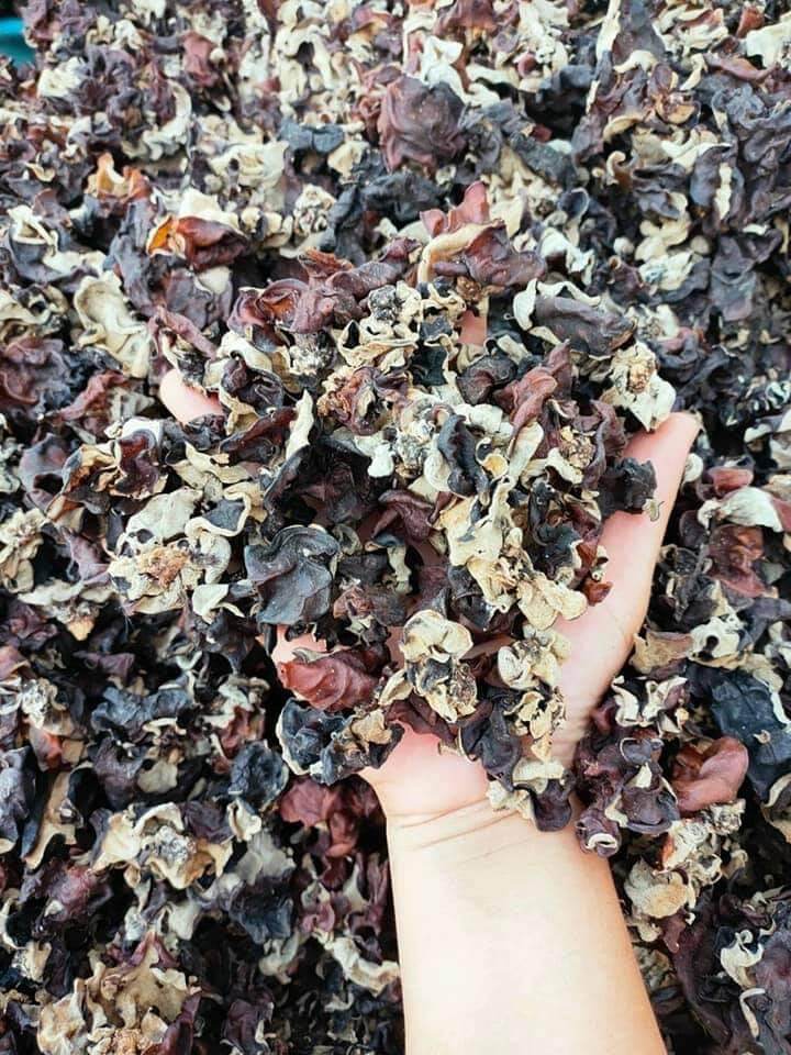 mộc nhĩ đen 500gr ( đặc sản tây bắc)