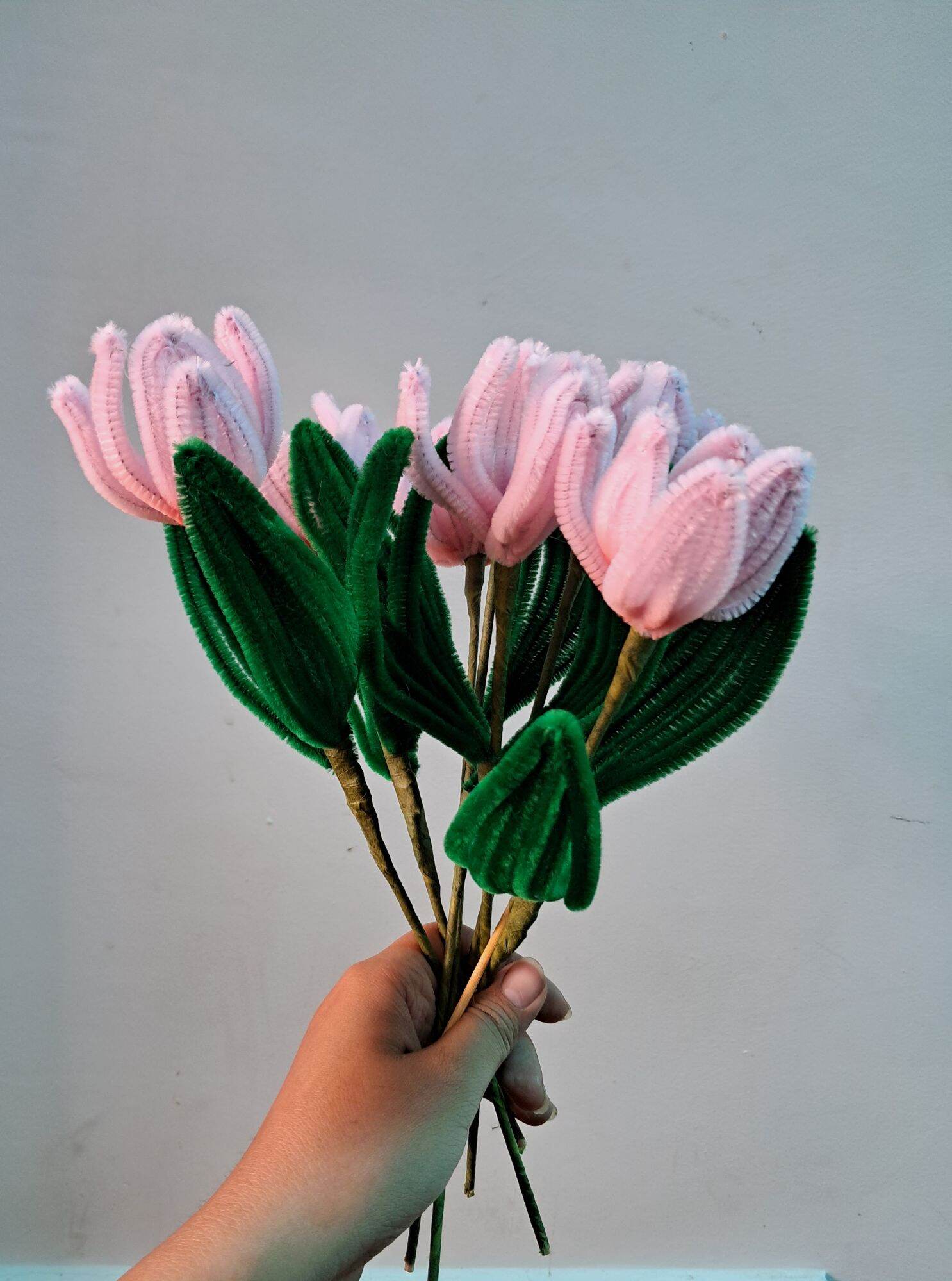 Hoa tulip bằng kẽm nhung