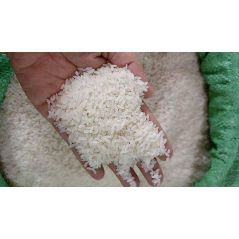 Gạo ST25 bao 5kg (Gạo dẻo vừa,mềm,ngọt cơm,thơm nhiều)