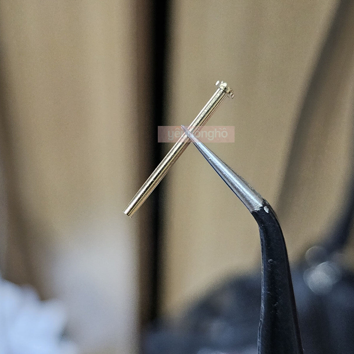 Chốt lắp dây đồng hồ Vặn Ren các dòng Michael Kors và các loại khác
