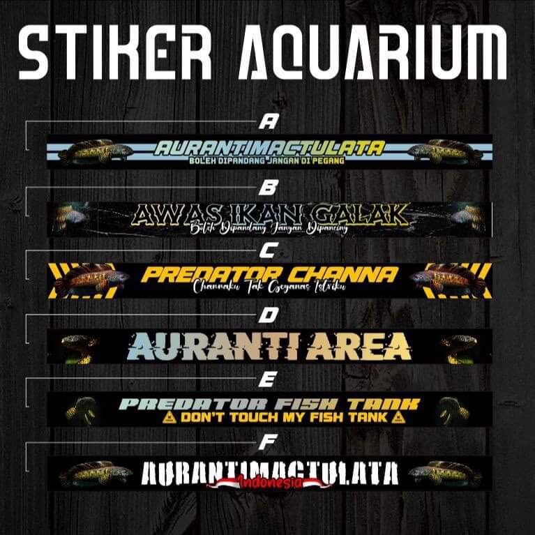 Decal dán hồ cá 60*10