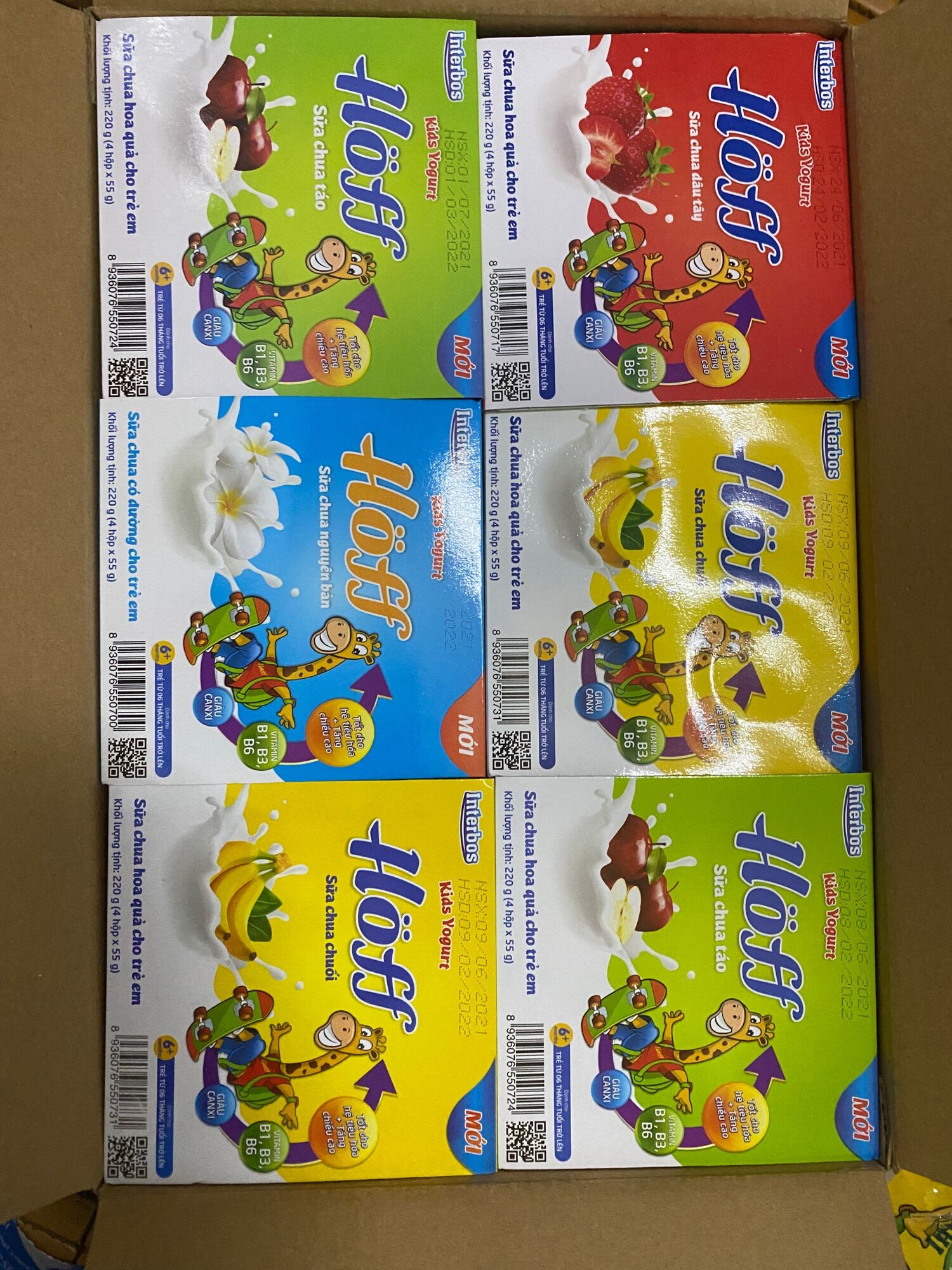 24 hộp sữa chua Hoff mix vị