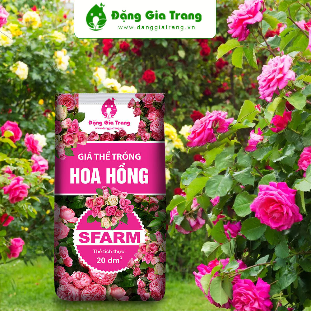 Giá thể trồng hoa hồng - đất trồng hoa hồng cao cấp sfarm bao 20dm3- 7kg