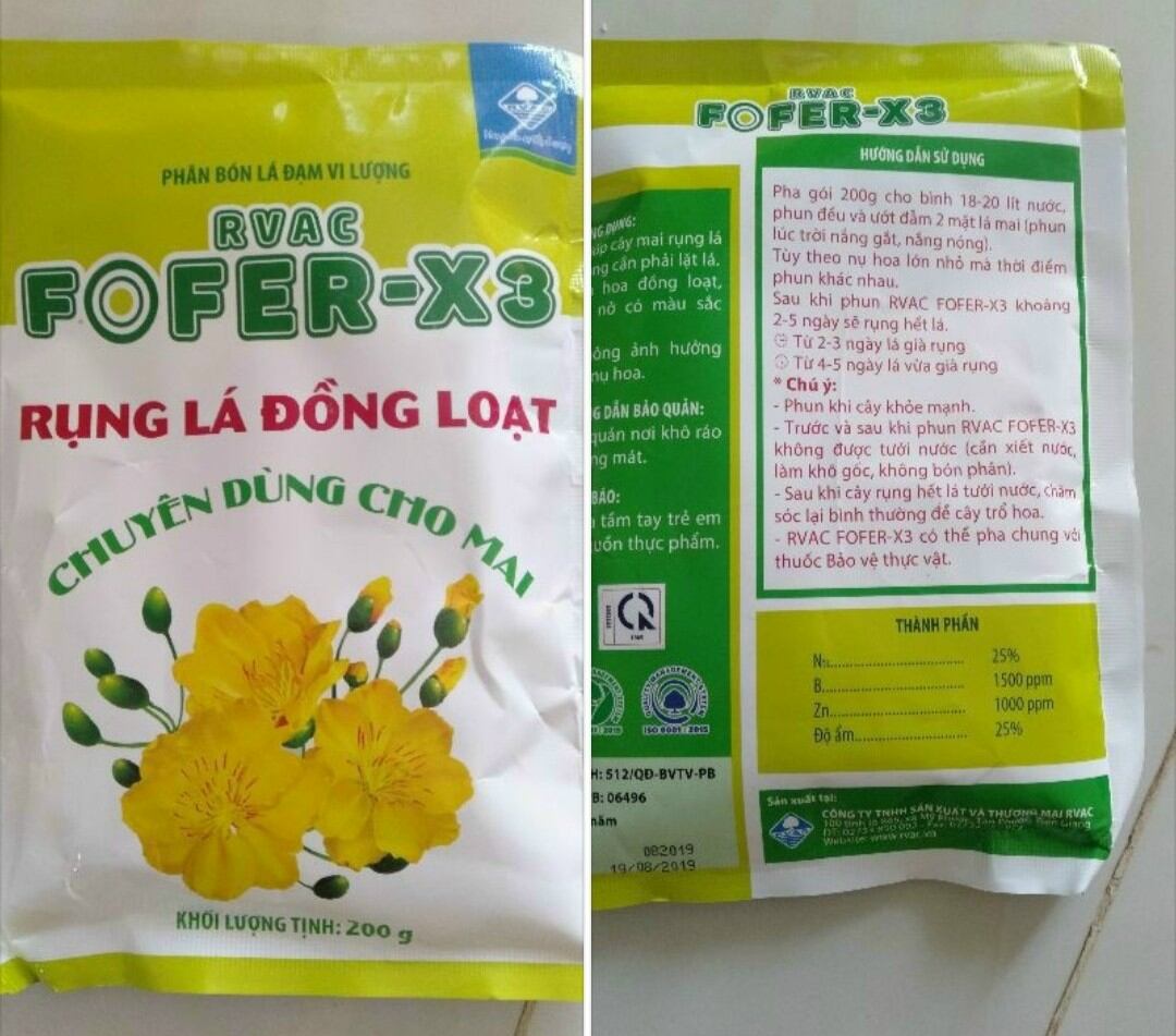 Rụng lá mai an toàn, không suy cây, mập nụ to nụ mai vàng, khỏi cần lặt lá