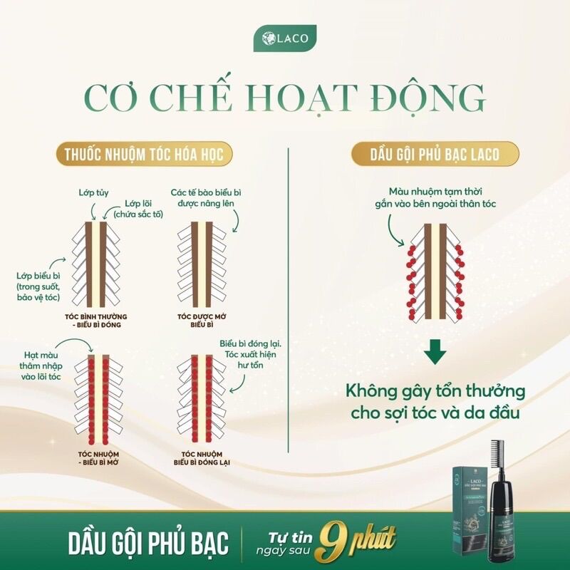 Dầu gội phủ bạc Laco