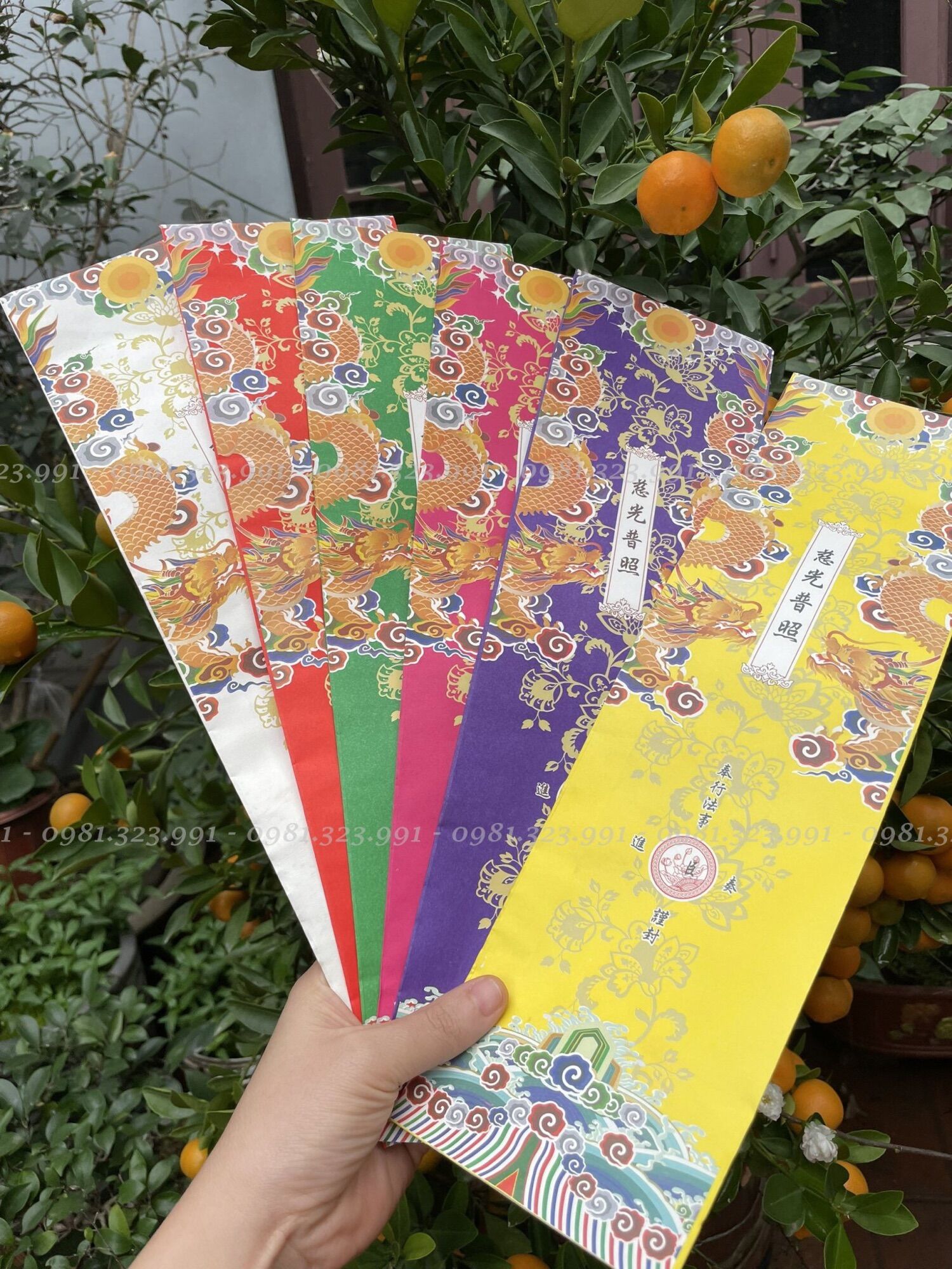 100 vỏ sớ a3 11.5x39cm