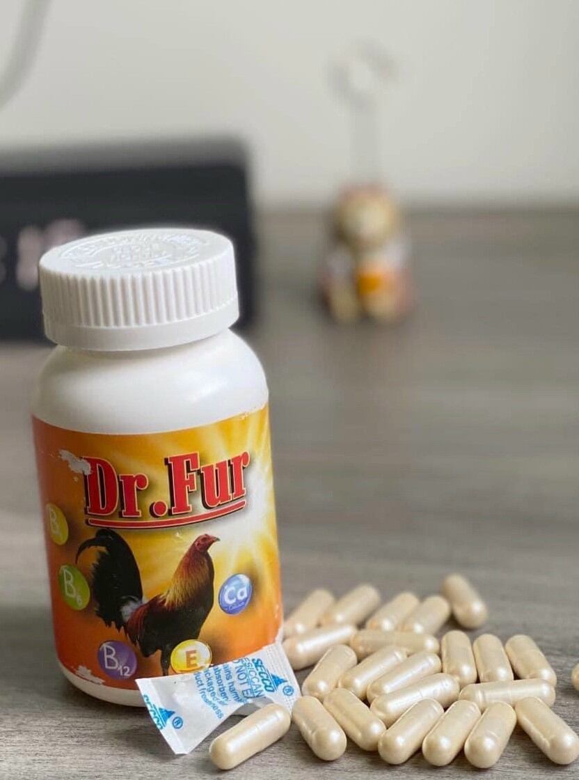 Dr.Fur : kích mọc lông nhanh gà đá