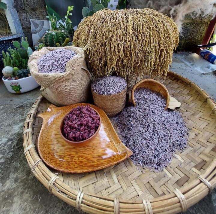 Gạo tẻ nương tím  5kg