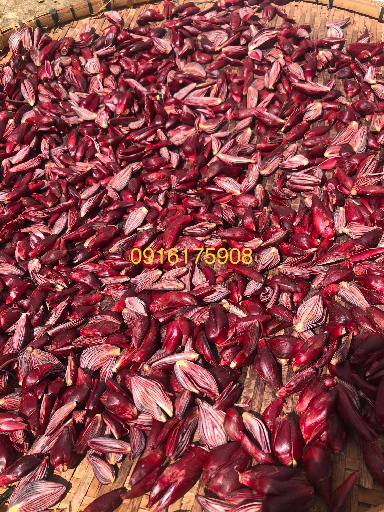 Sâm đại hành khô Đà Lạt 1kg(thái tay)