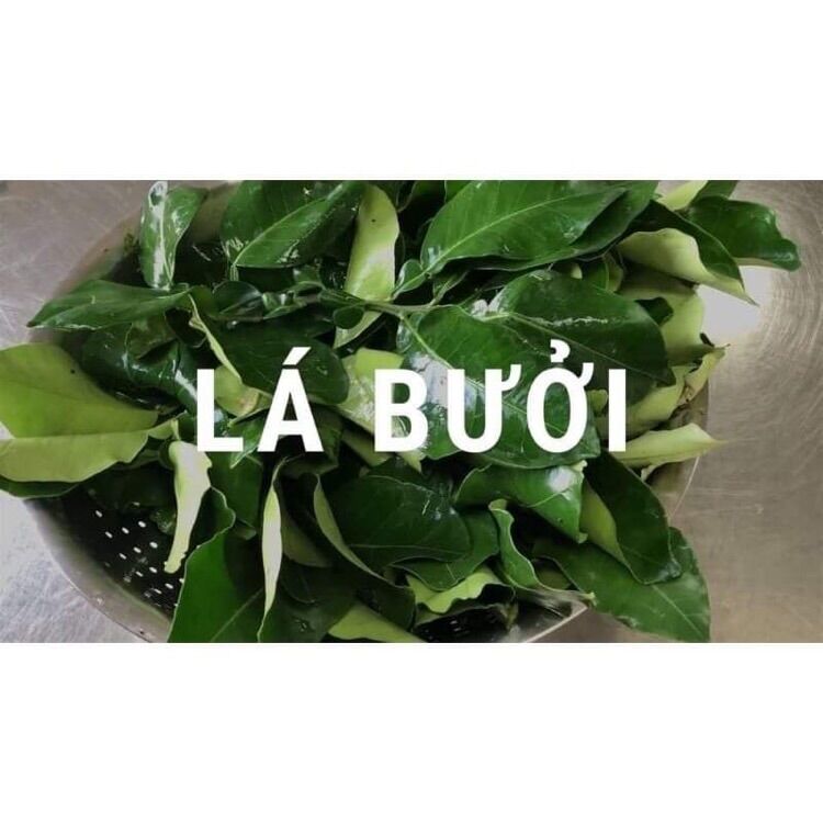 Lá bưởi tươi xông tắm, gội đầu 1kg