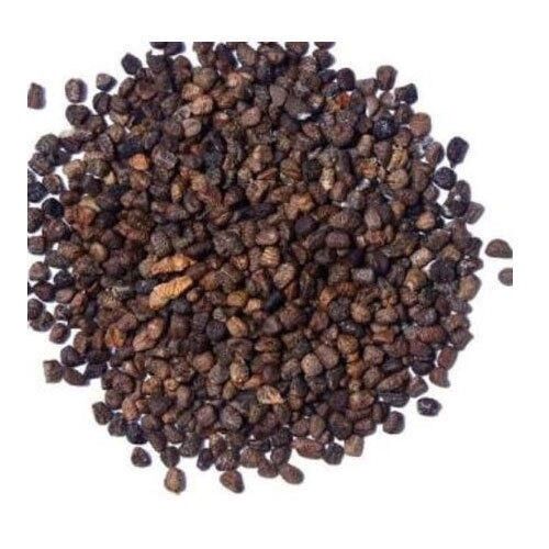 Black Cardamom Seed - Thảo Quả Đen 500g