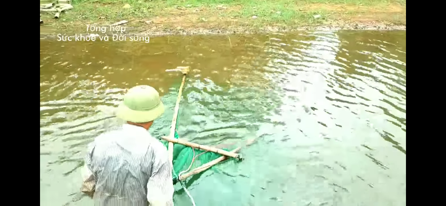 te tép,xiếc tôm cá nhỏ,tép riu mắt lưới 1ly(chú ý chỉ bán lưới)