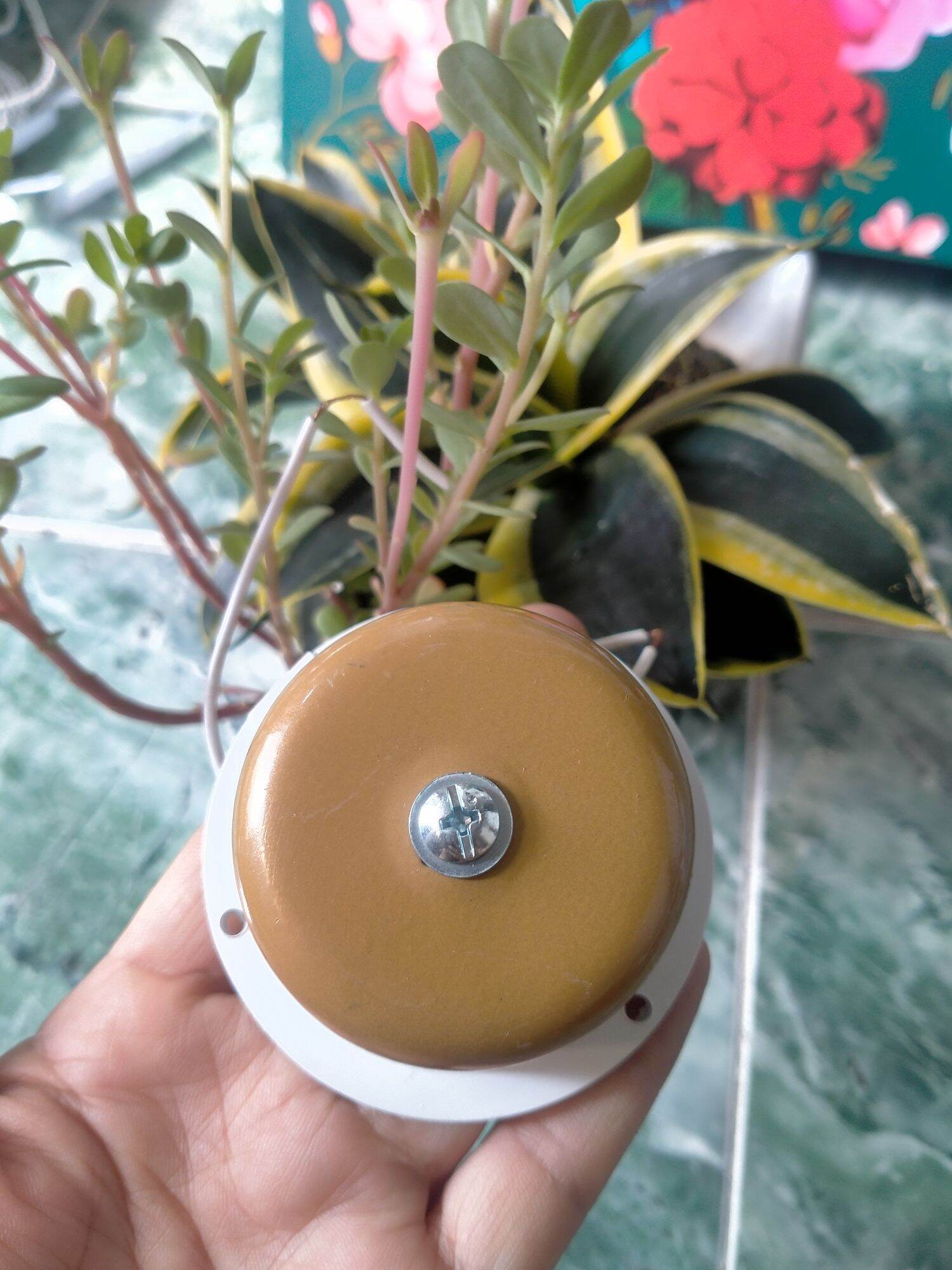 Chuông Điện Báo Động Chuông Báo Cháy