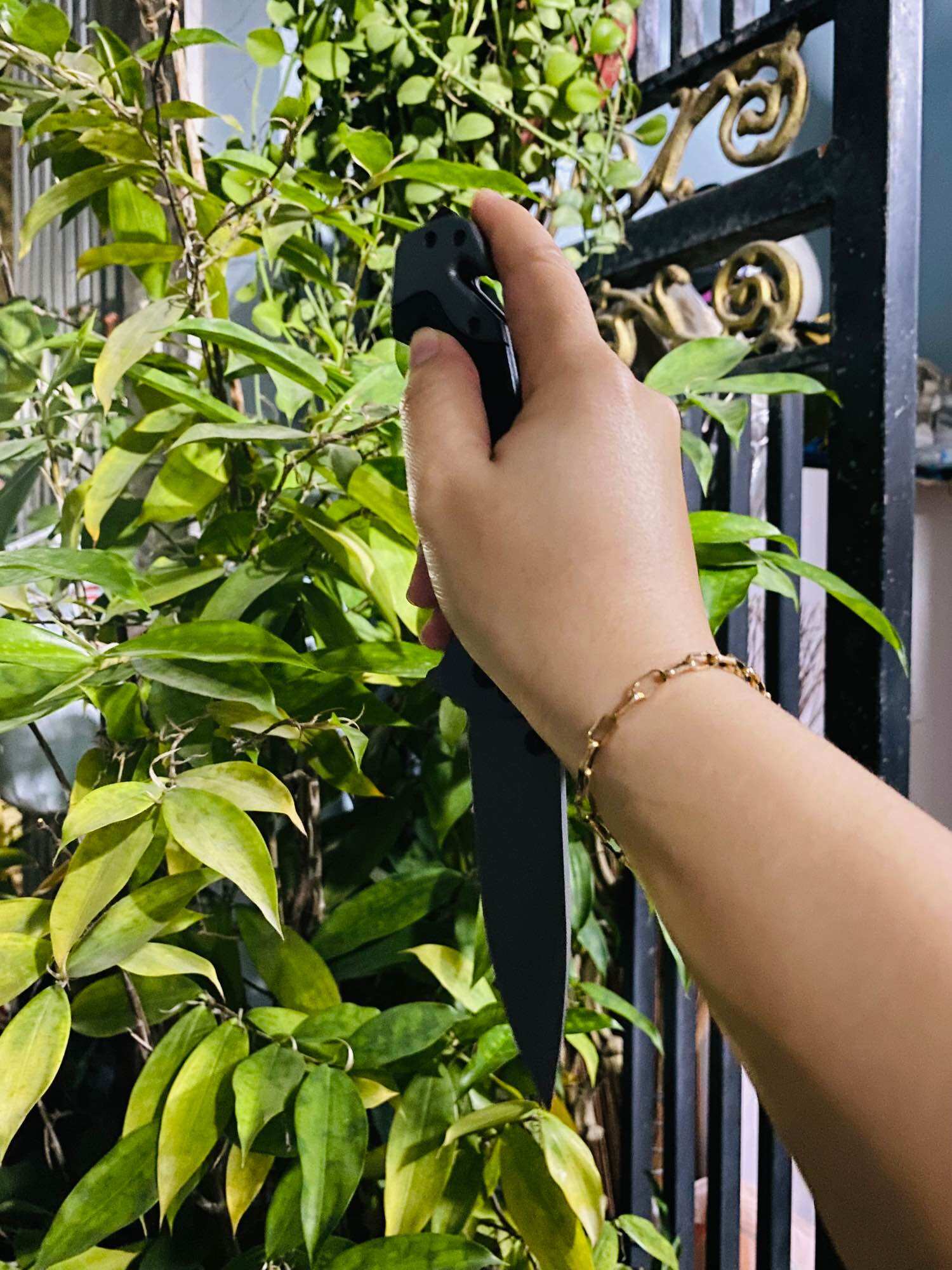 Dao nhà bếp, gọt hoa quả, trái cây