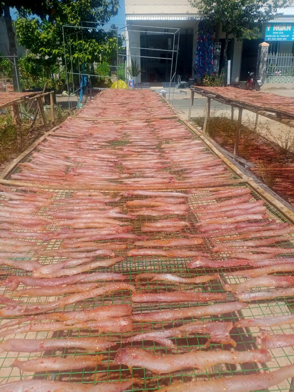 khô cá lóc  sợi không xương 500gram