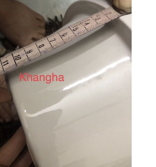 ❄️Ruột sứ nồi nấu cháo chậm 2,5 lít Đạt Tường