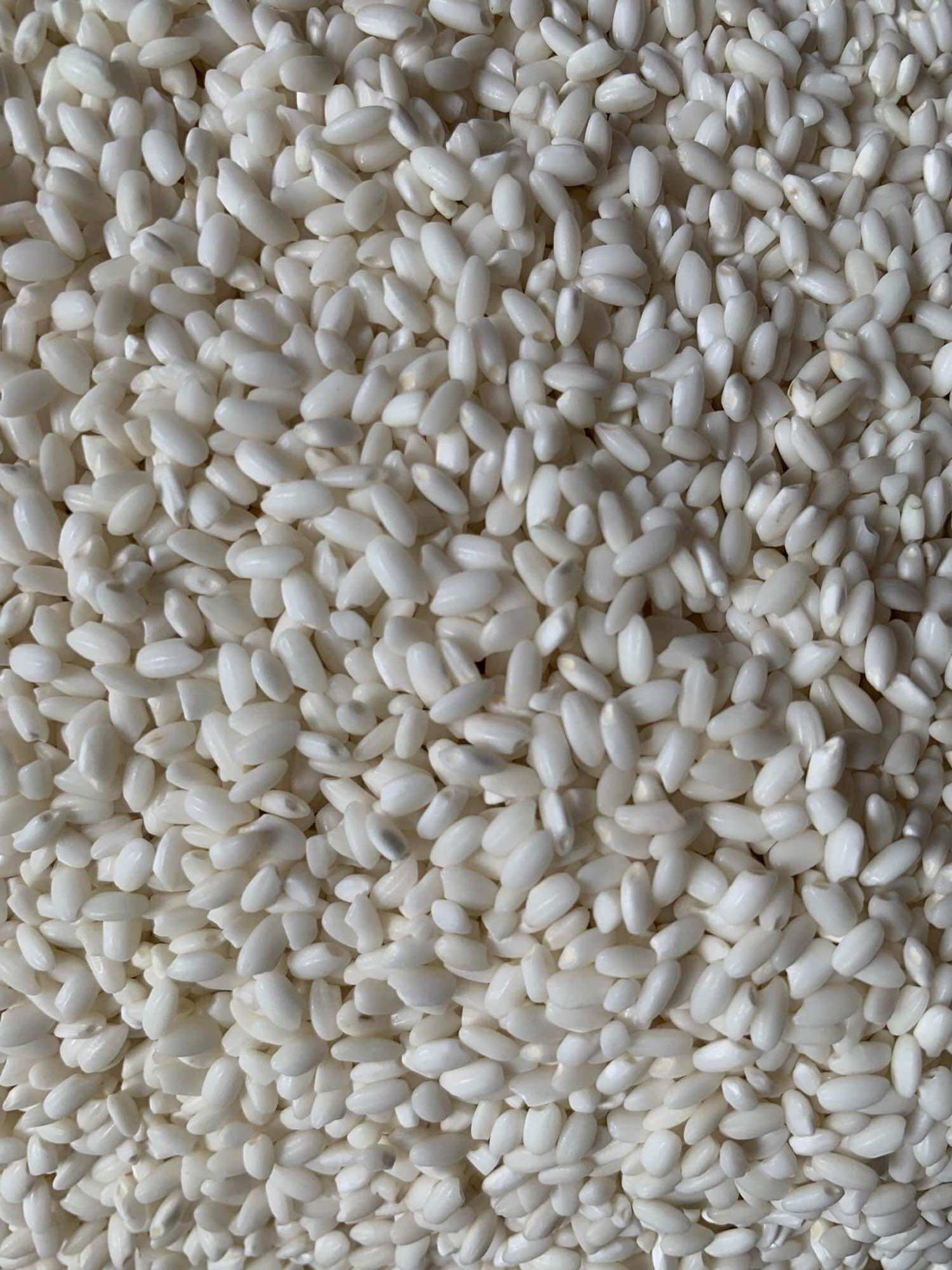 Nếp cái hoa vàng 1kg