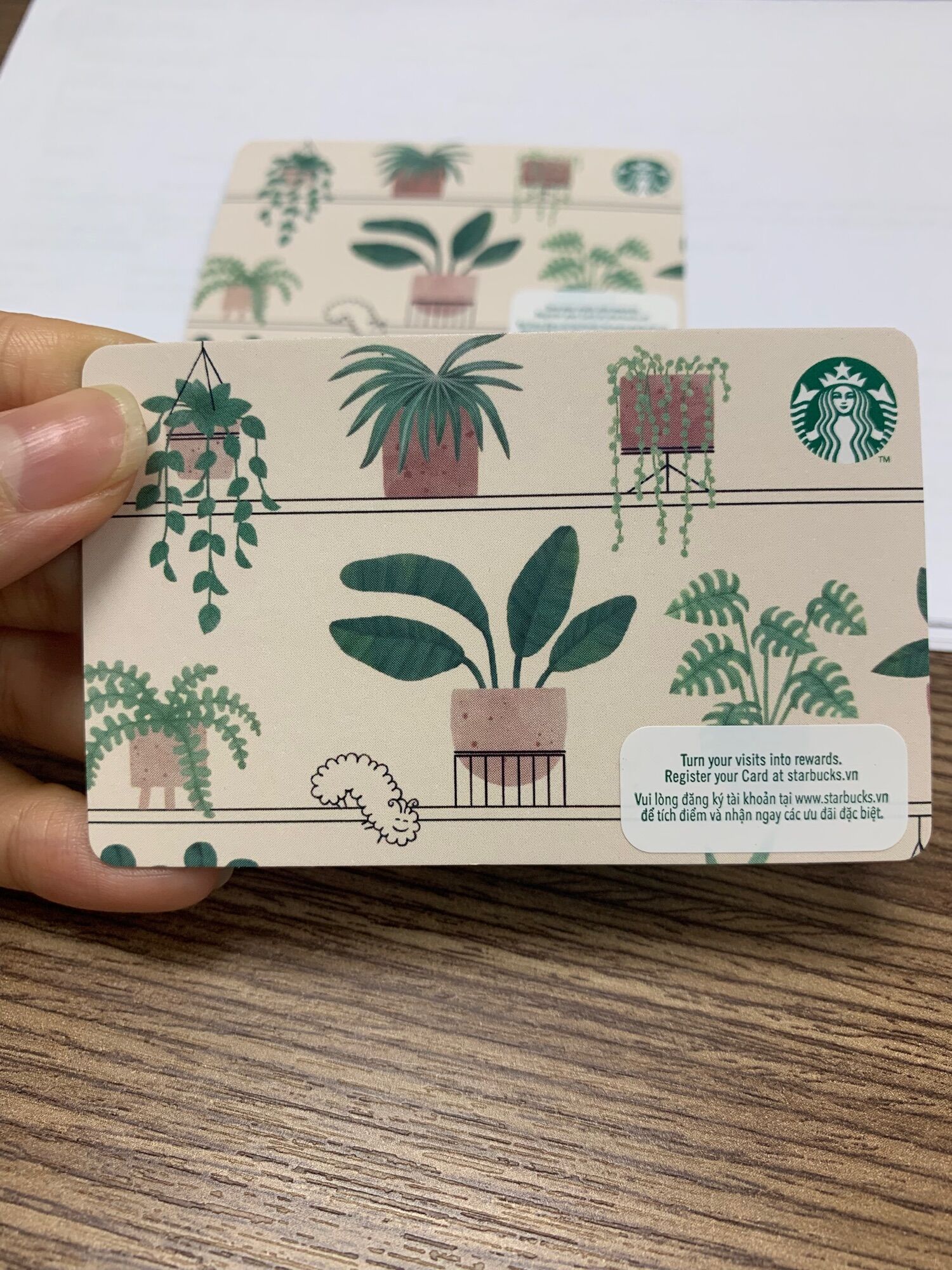 |chính hãng| thẻ starbucks greenery plants