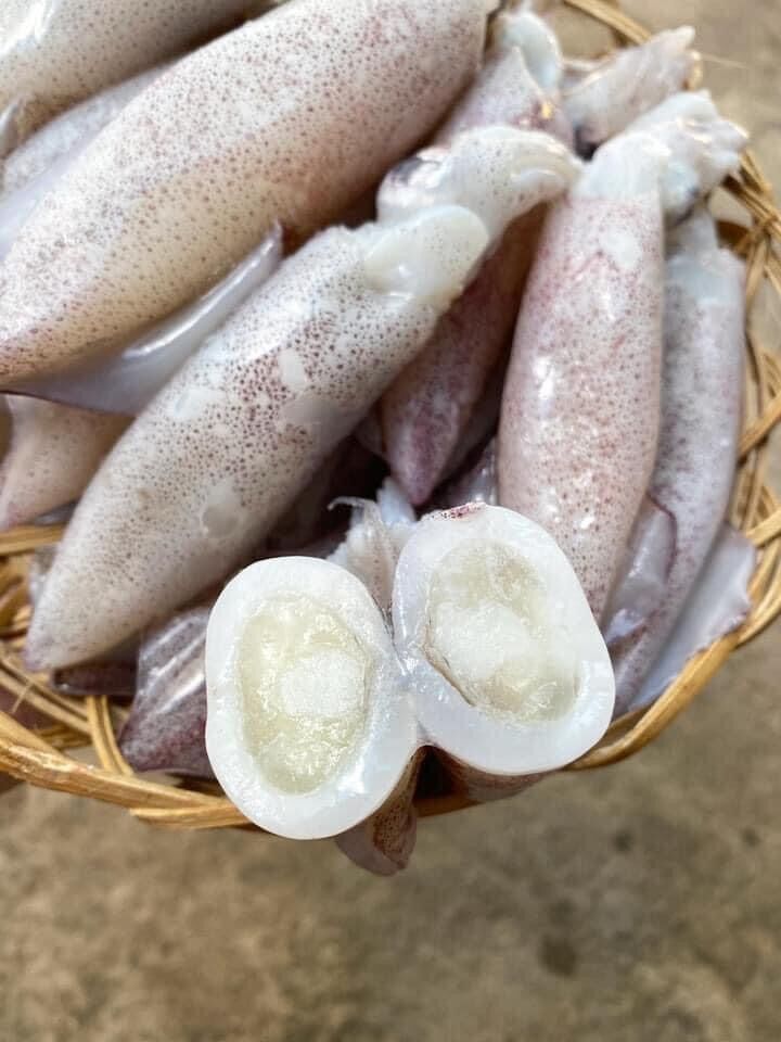 1kg Mực full trứng (net 8, hoả tốc 2h tphcm)