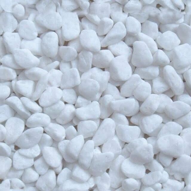 1 kg sỏi trắng trang trí hồ cá