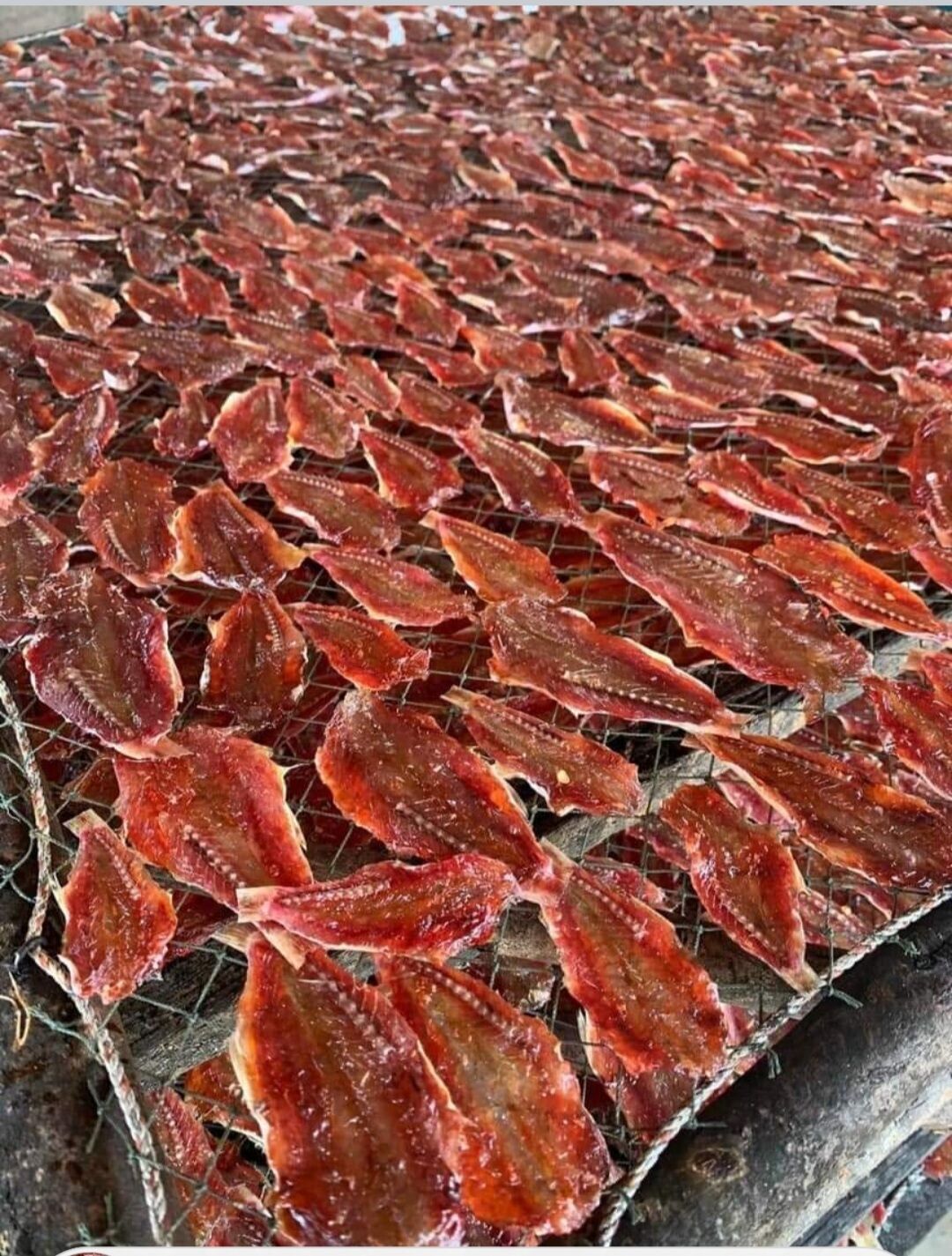 Khô cá phèn (500gr)