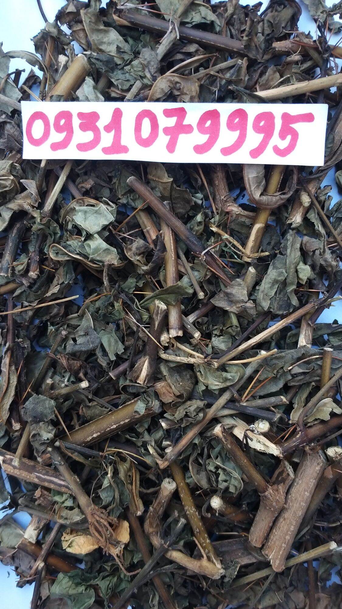 cây kim vàng phơi khô 1kg