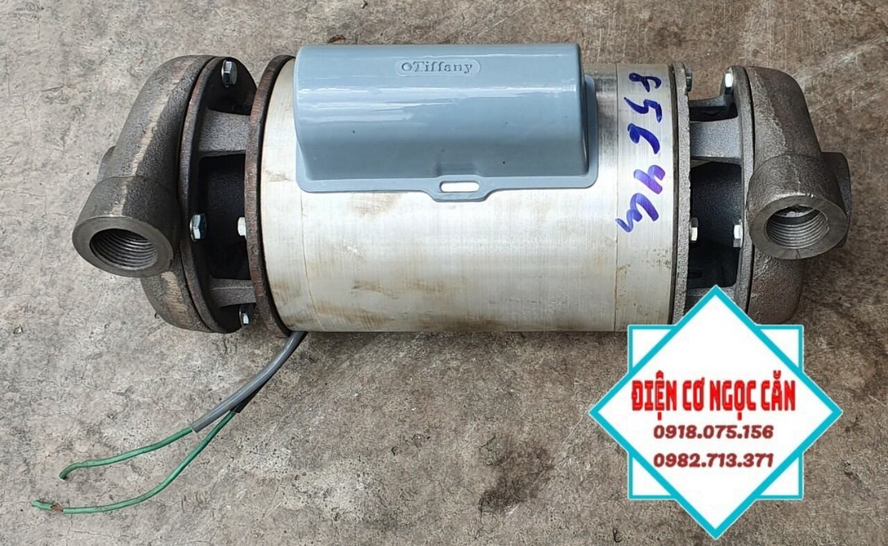 Máy bơm nước 1pha và 3pha 👉 loại 2 đầu: 2hp