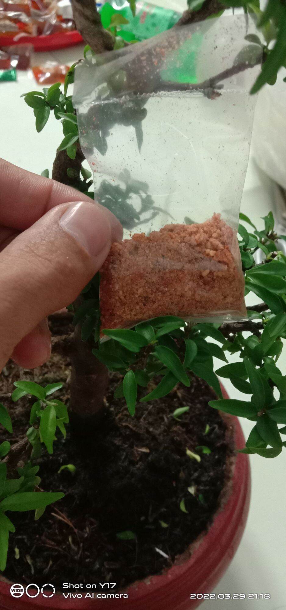 1 bịch MUỐI MINI để trộn bánh tráng