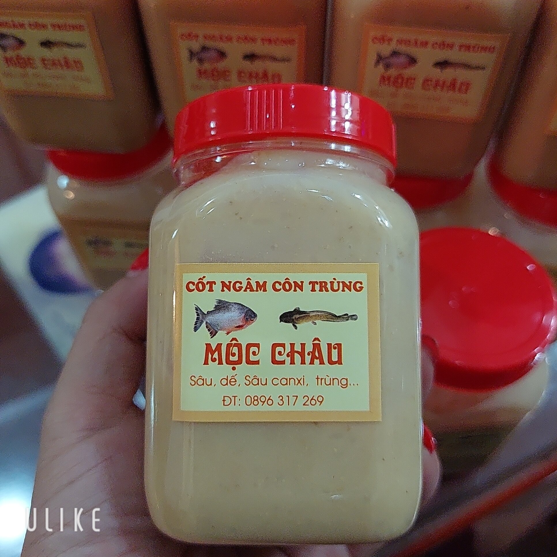 Cốt ngâm côn trùng câu cá chuyên dùng cá chim- cá trê hủ 200gr