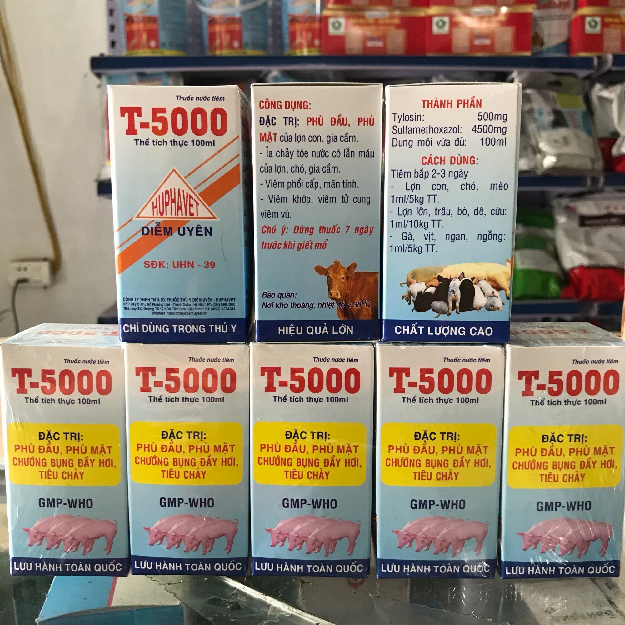 T5000-tiêu chảy, sưng phù đầu gia súc 100ml