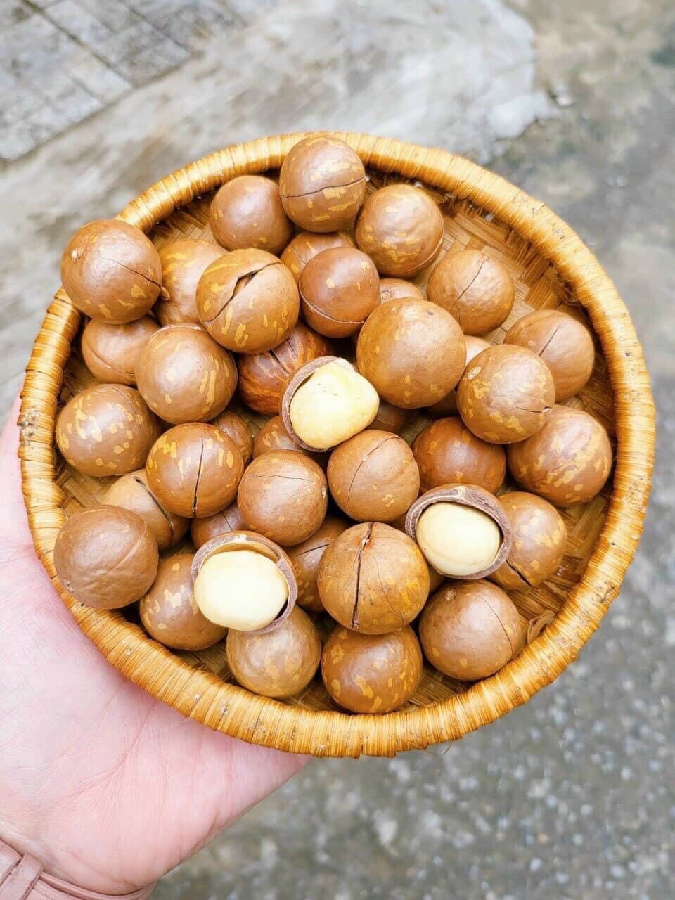[ Gói 1Kg ] Hạt Mắc Ca Đắk Lắk - date mới - MACCA NỨT VỎ SẤY GIÒN