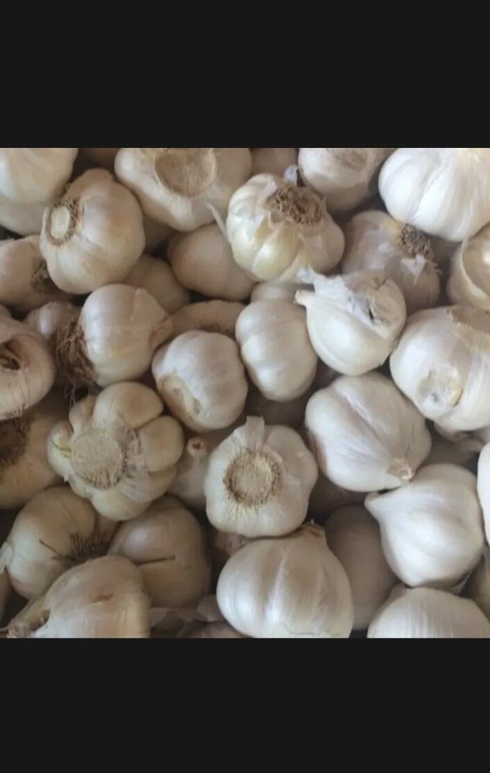 TỎI LÝ SƠN 500g