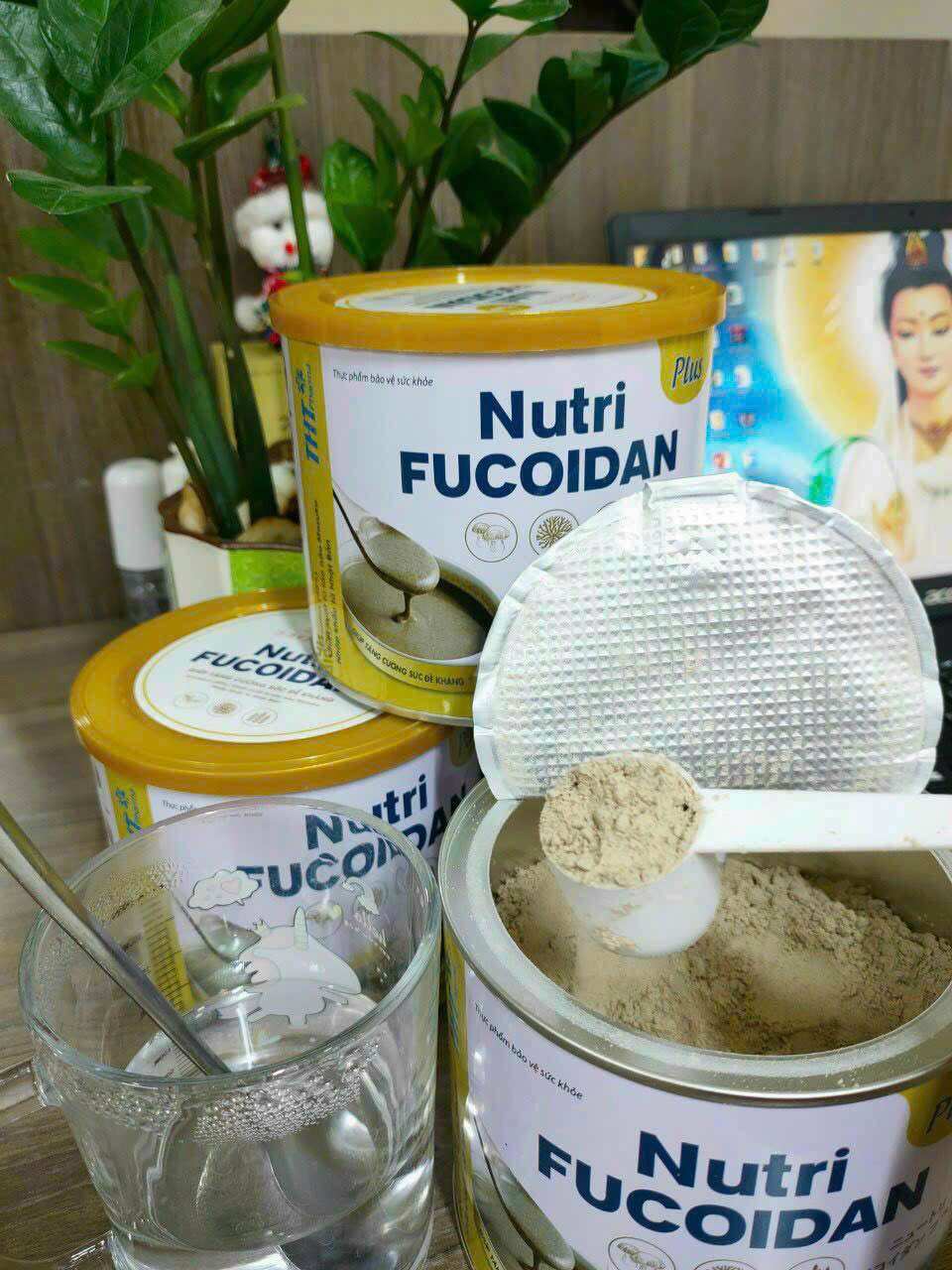 Sữa Thực Dưỡng Miễn Dịch Nutri Fucoidan Plus lon 500gr