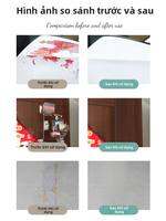 MIOLTTA | Chất Tẩy Dán Mạnh Mẽ