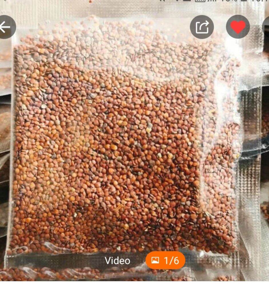 1kg hạt Ngũ Hoa - hạt Đình Lịch Hạt to sạch