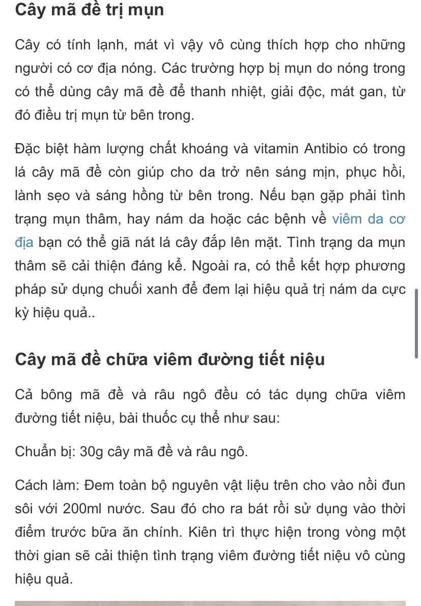 Hạt giống cây má đề