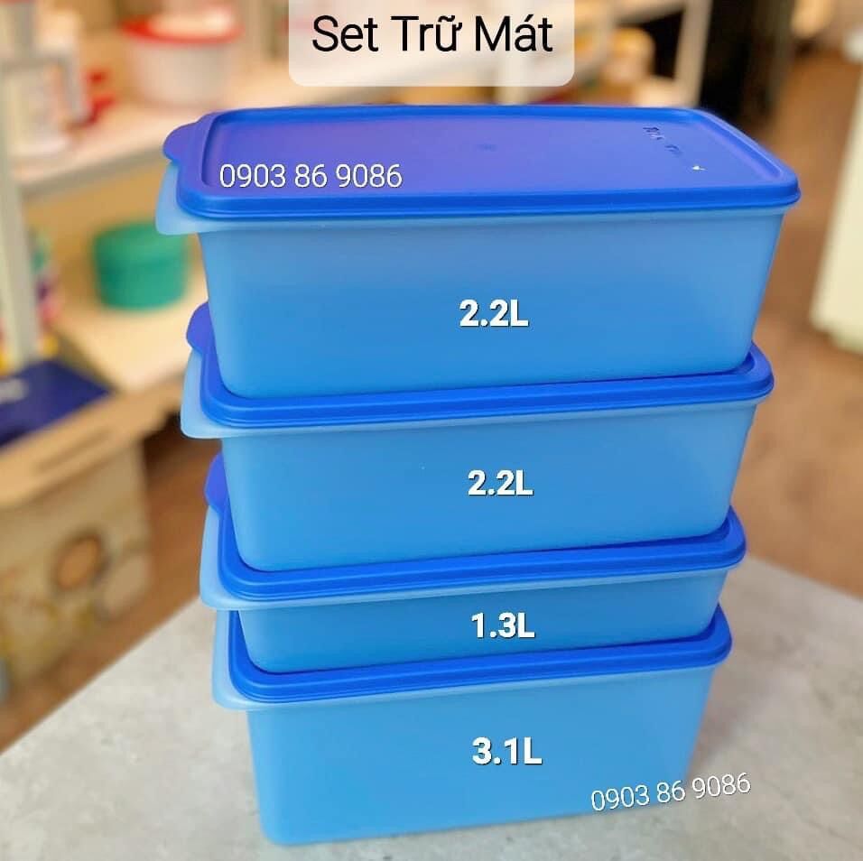Set 4 Hộp Trữ Mát dài Modern Tupperware