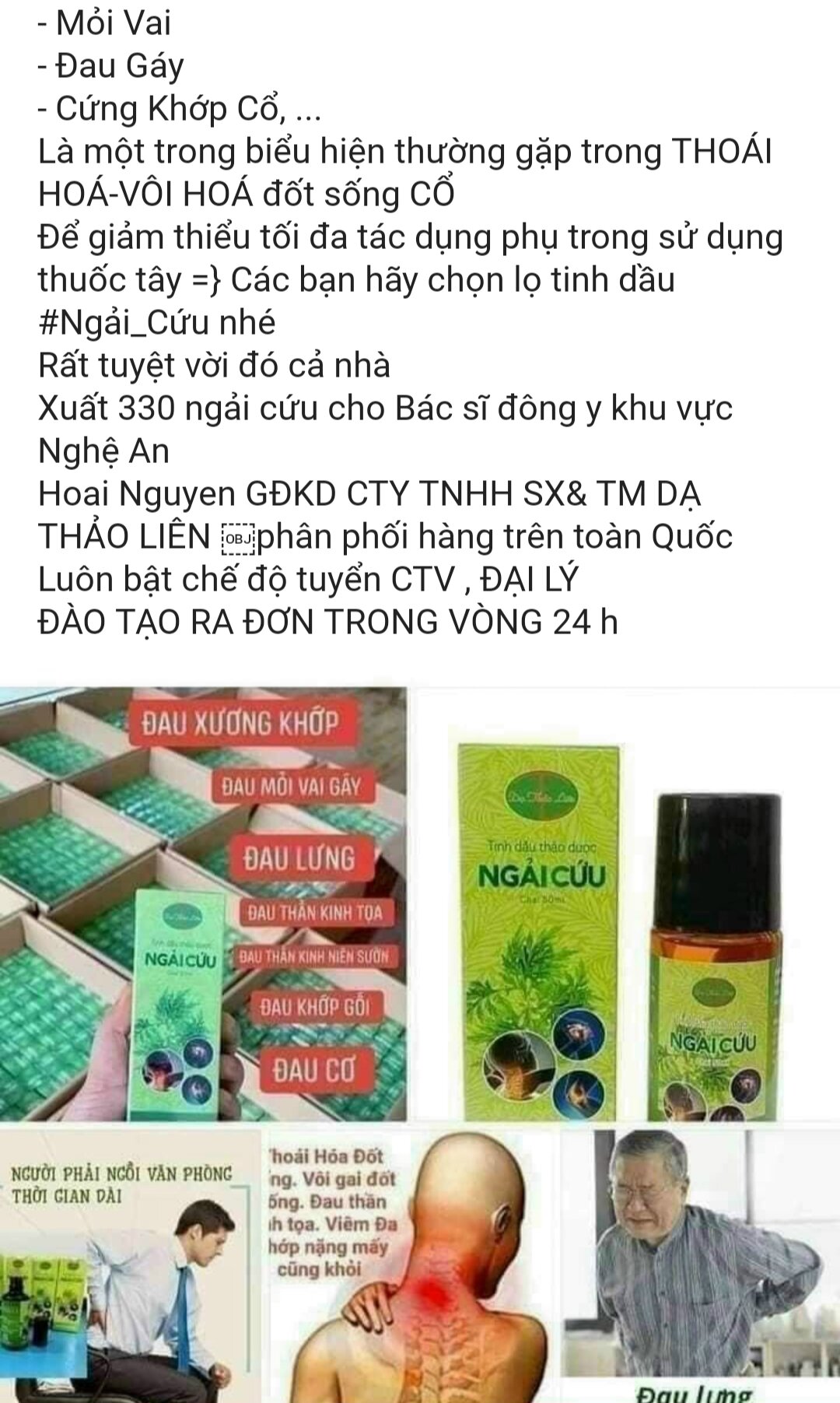 tinh Dầu Ngải cứu Dạ thảo liên