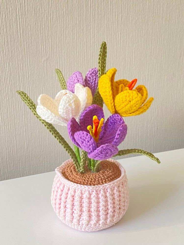 Chậu hoa Tulip ghép cánh tuỳ chỉnh độ nở của hoa tuỳ ý
