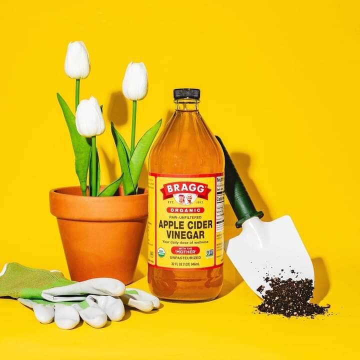 Giấm táo hữu cơ Bragg 946ml [NK Mỹ- Date 09/2026]