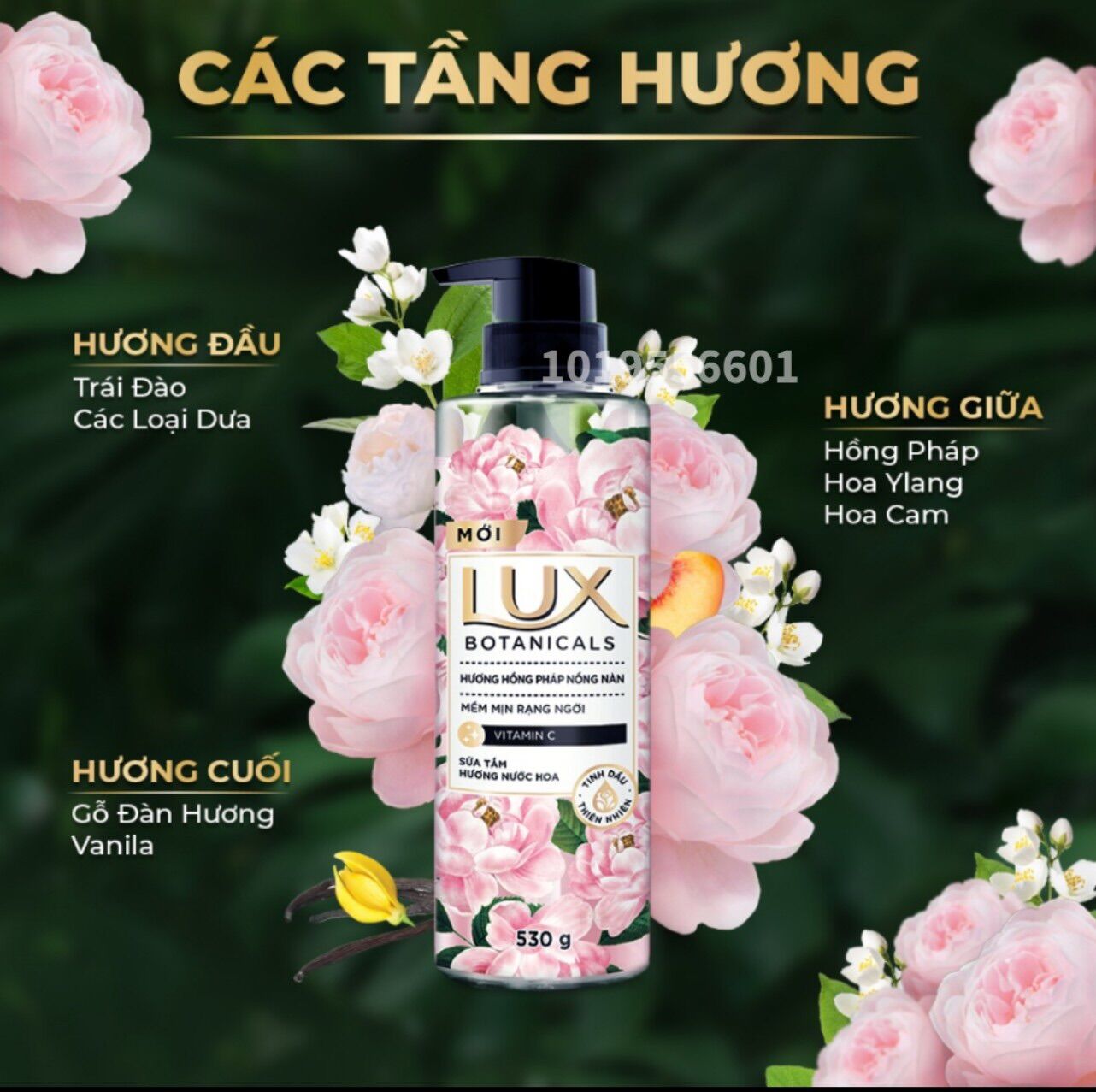 Sữa tắm LUX hương nước hoa hồng pháp