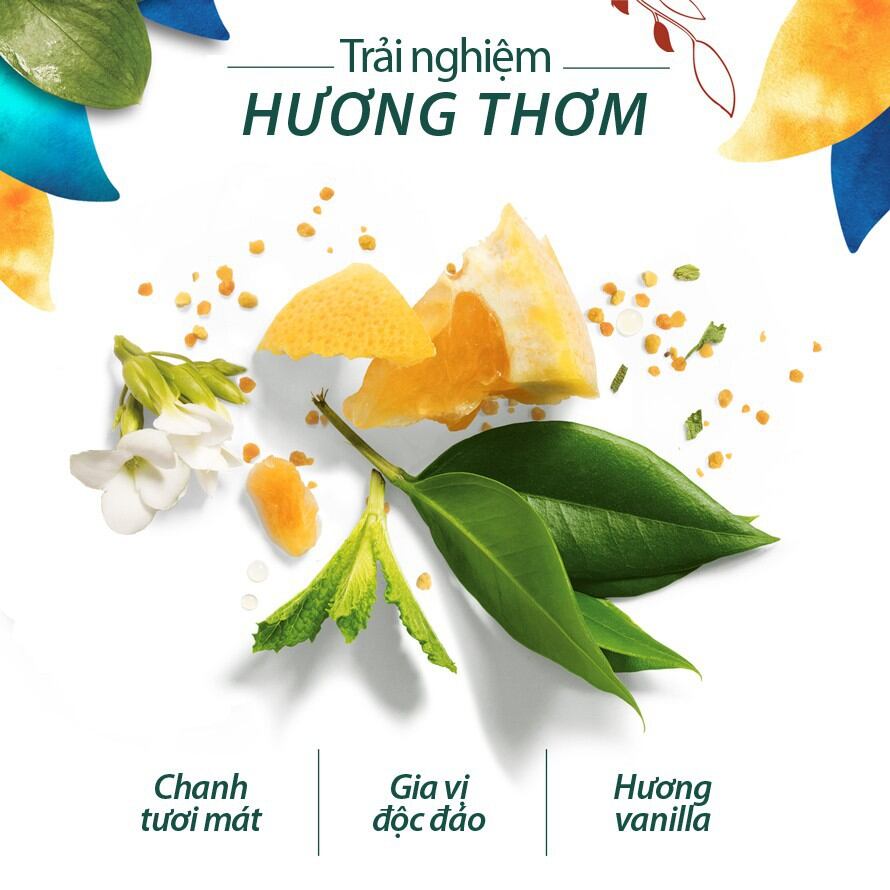 Combo Dầu Gội và Dầu Xả HERBAL ESSENCES
