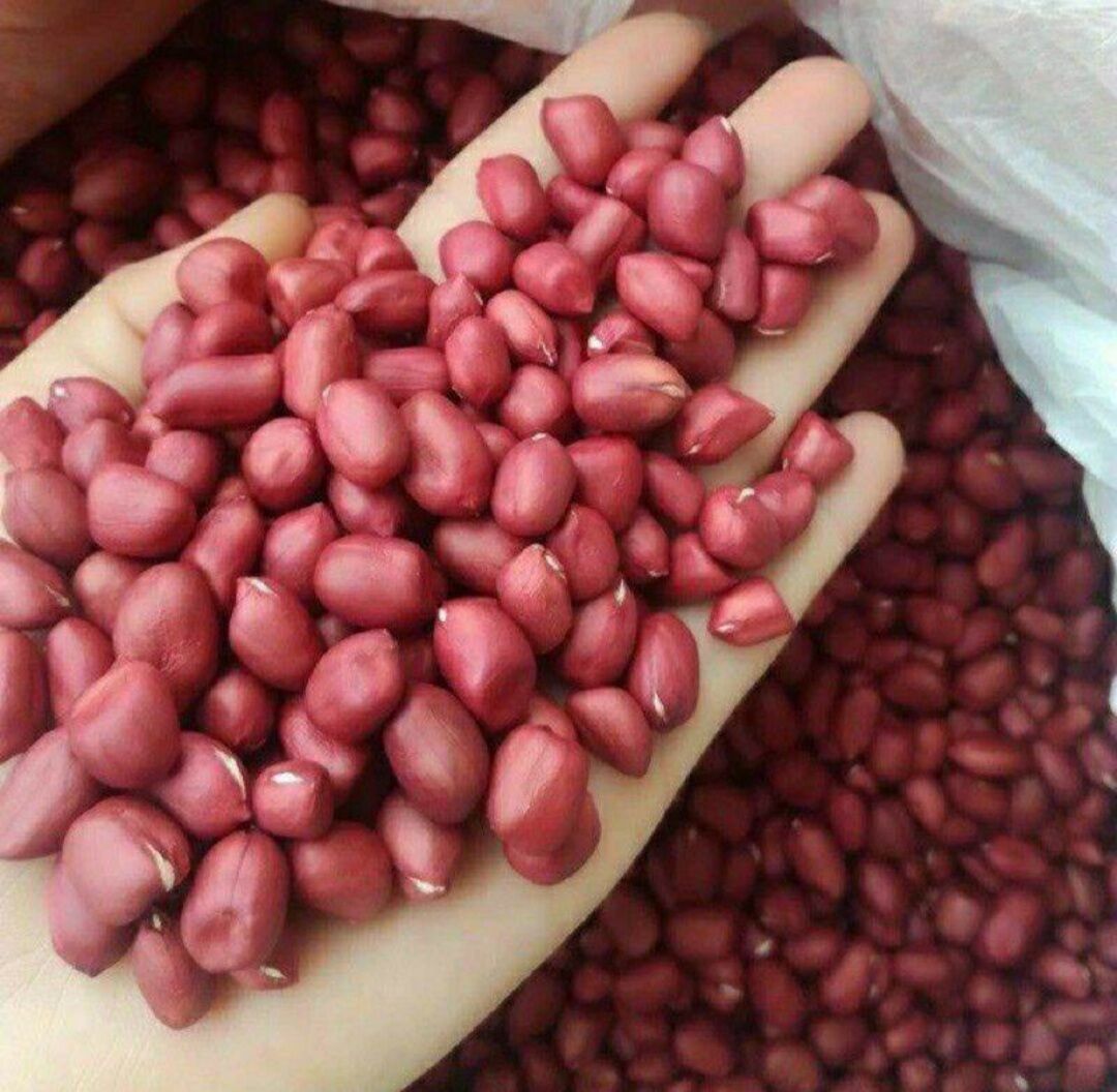 Lạc Hạt Đỏ Tây Bắc - 1kg