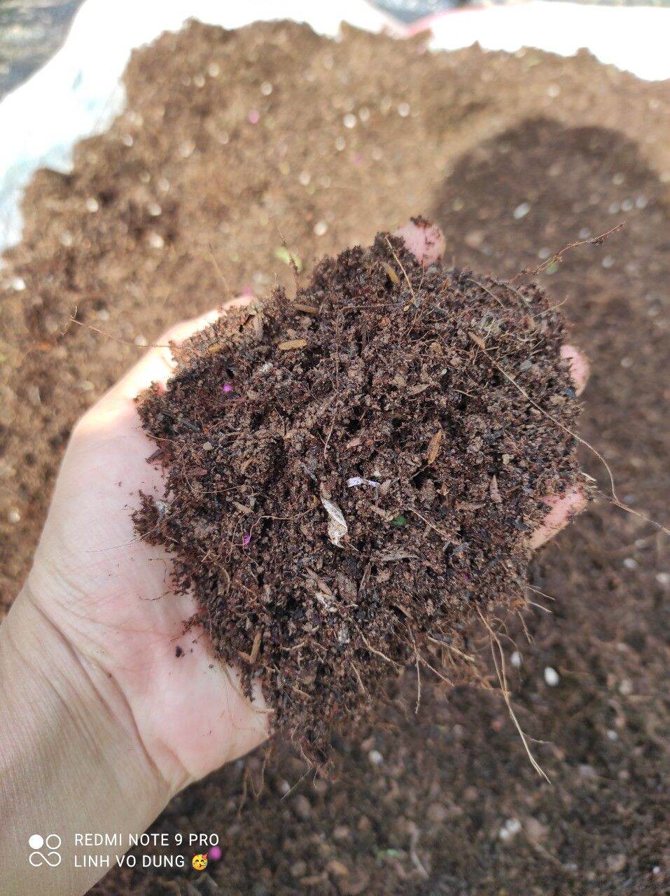 Giá thể trồng Dâu tây, hương thảo túi 1kg